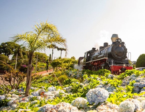 Porque fazer o passeio de trem ao visitar Gramado