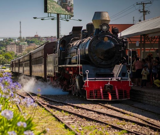 Tour Vinhedos com Maria Fumaça Gramado