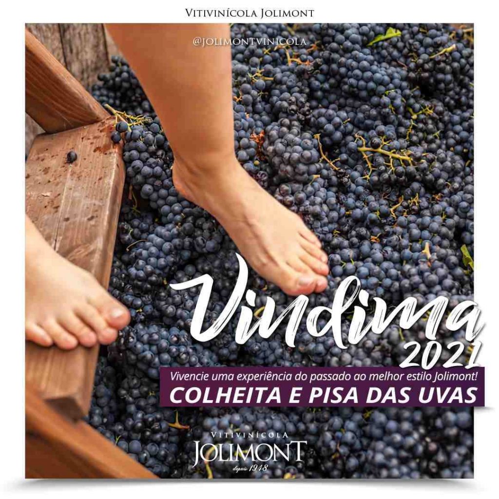 Rota do Vinho em Gramado