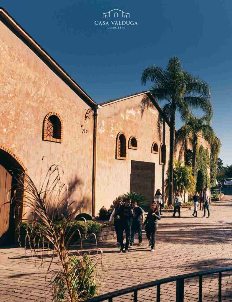 O melhor Tour Uva e Vinho em Gramado