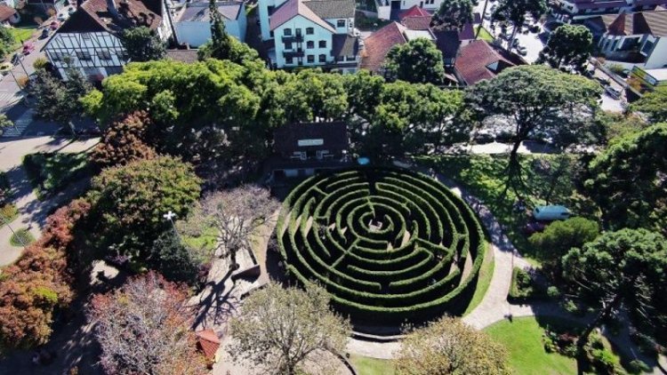 Visitar Vinícola Miolo Partindo de Gramado RS