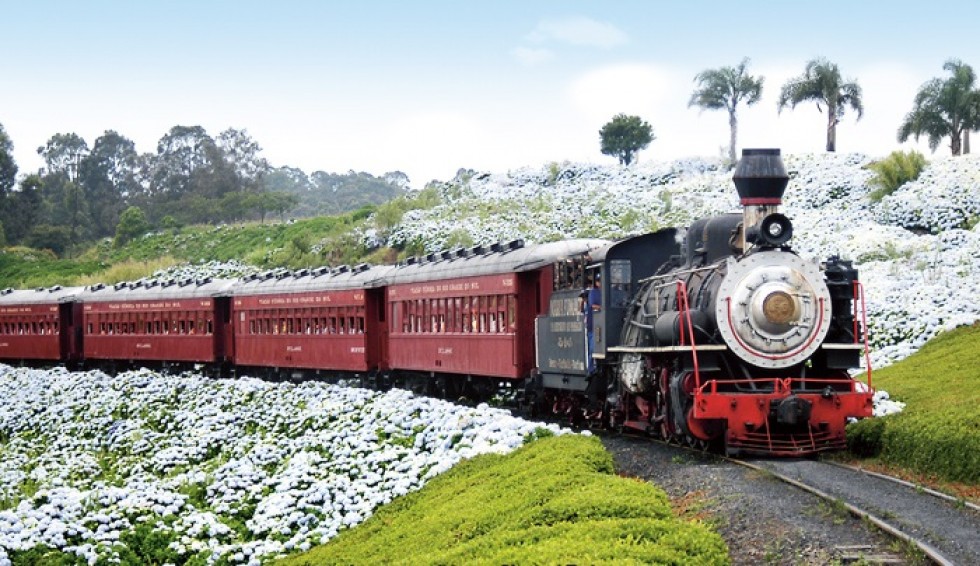 Trem do Vinho com saída de Gramado e Canela