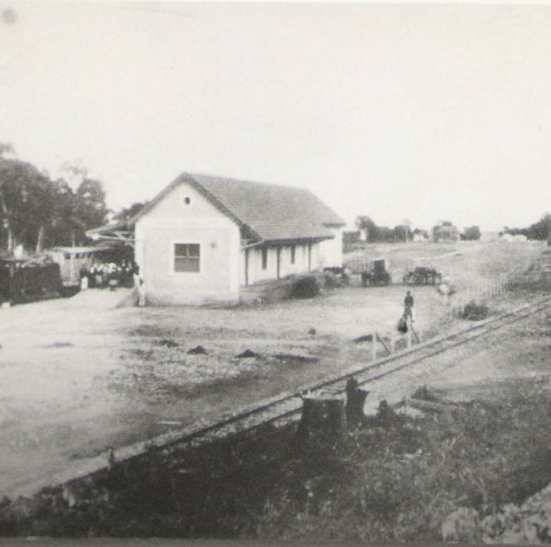 Trem do Vinho com saída de Gramado e Canela